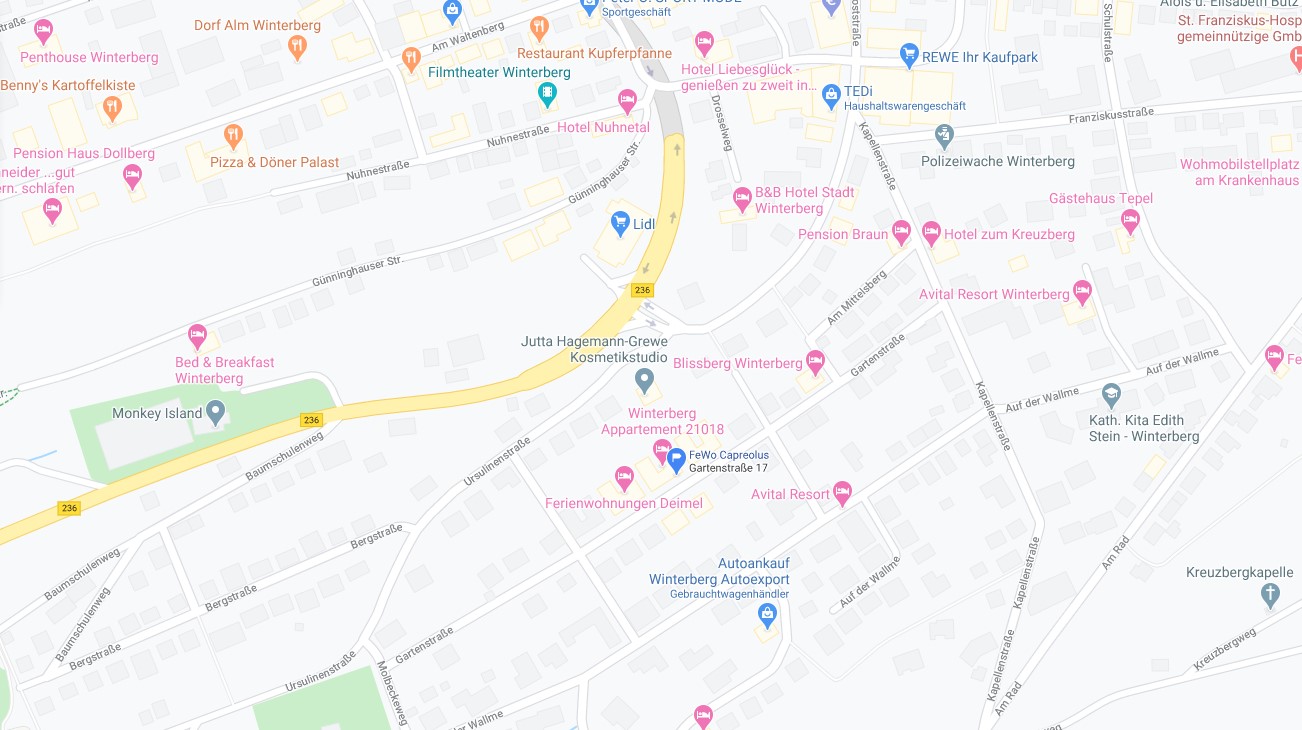Lage der FeWo Capreolus in Winterberg nahe Innenstadt und Natur